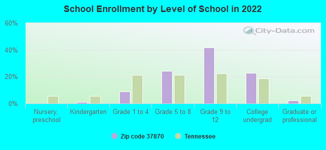 School Enrollment by Level of School in 2022