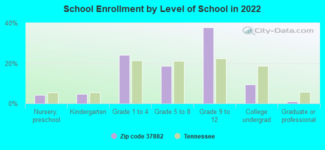 School Enrollment by Level of School in 2022