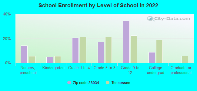 School Enrollment by Level of School in 2022