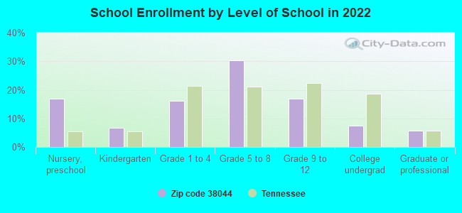 School Enrollment by Level of School in 2022