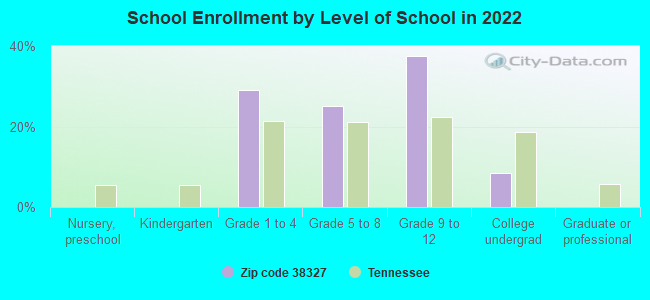 School Enrollment by Level of School in 2022