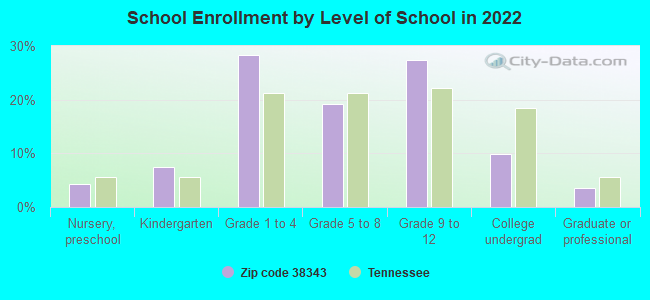 School Enrollment by Level of School in 2022