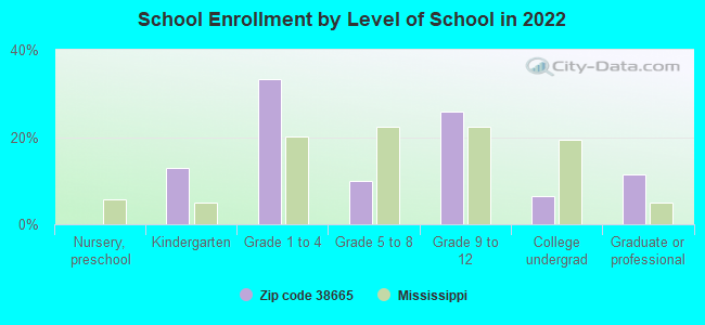 School Enrollment by Level of School in 2022