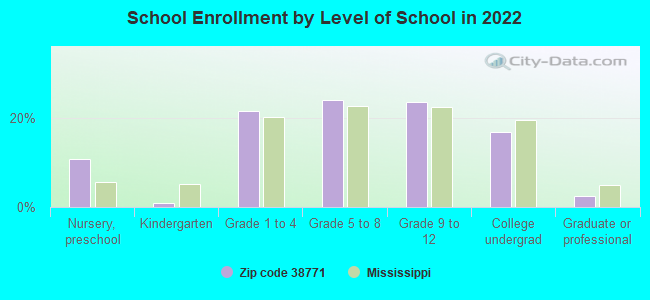 School Enrollment by Level of School in 2022