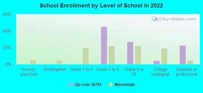 School Enrollment by Level of School in 2022