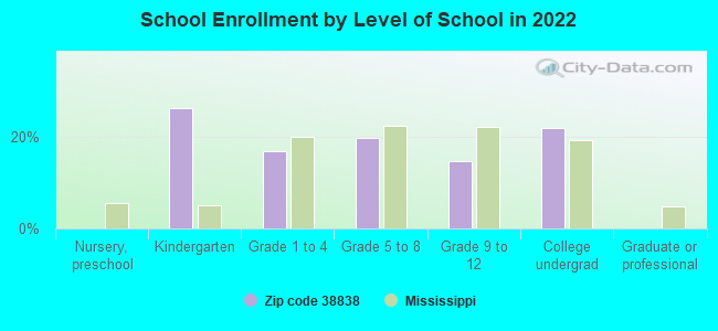 School Enrollment by Level of School in 2022