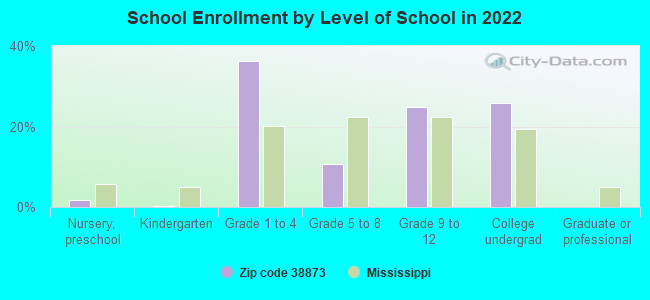 School Enrollment by Level of School in 2022