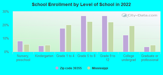 School Enrollment by Level of School in 2022