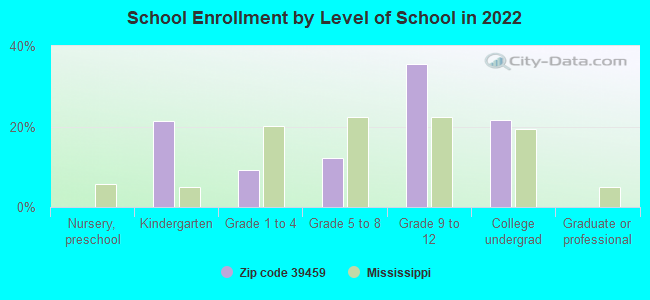 School Enrollment by Level of School in 2022