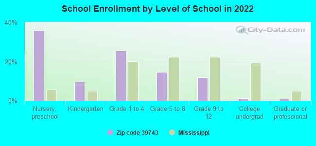 School Enrollment by Level of School in 2022