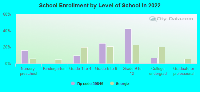 School Enrollment by Level of School in 2022