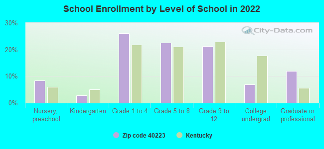 School Enrollment by Level of School in 2022