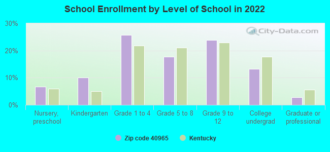 School Enrollment by Level of School in 2022