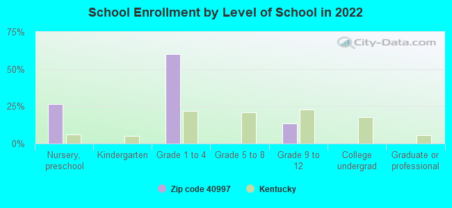 School Enrollment by Level of School in 2022