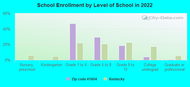 School Enrollment by Level of School in 2022