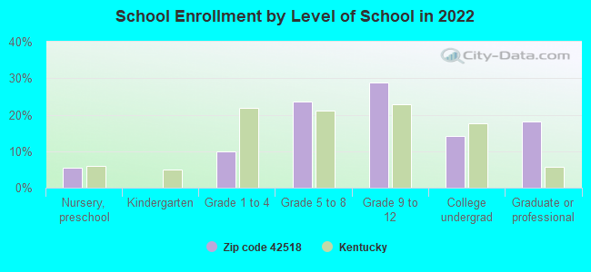 School Enrollment by Level of School in 2022