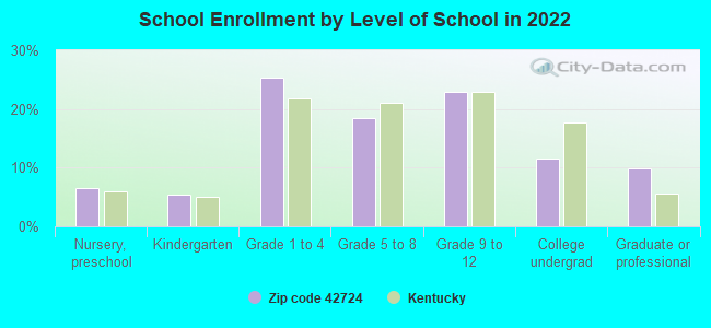 School Enrollment by Level of School in 2022