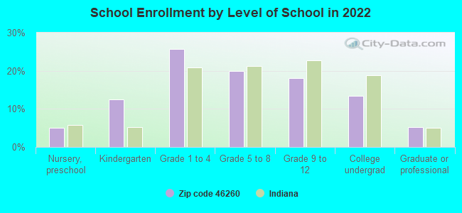 School Enrollment by Level of School in 2022