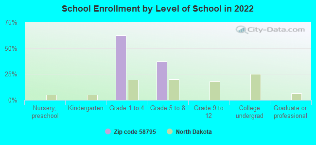 School Enrollment by Level of School in 2022