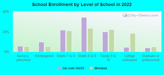 School Enrollment by Level of School in 2022