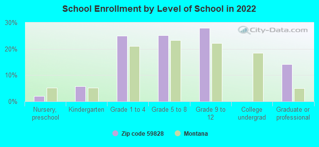 School Enrollment by Level of School in 2022