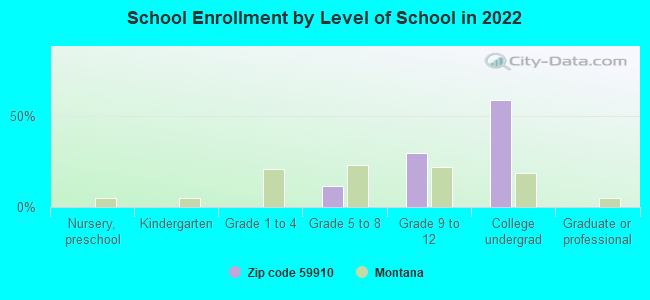 School Enrollment by Level of School in 2022