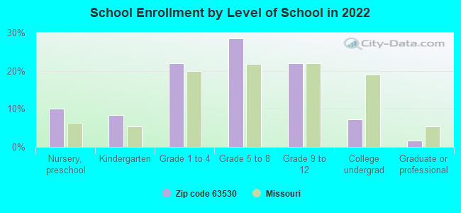 School Enrollment by Level of School in 2022