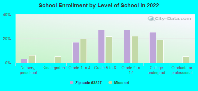 School Enrollment by Level of School in 2022