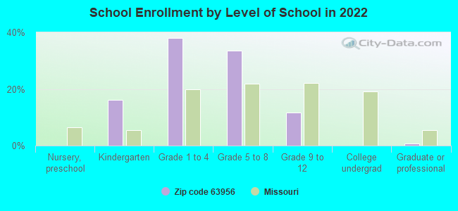 School Enrollment by Level of School in 2022