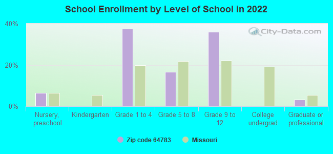 School Enrollment by Level of School in 2022