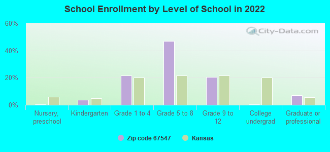 School Enrollment by Level of School in 2022