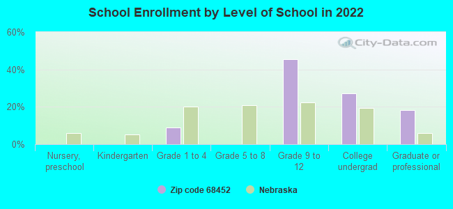 School Enrollment by Level of School in 2022