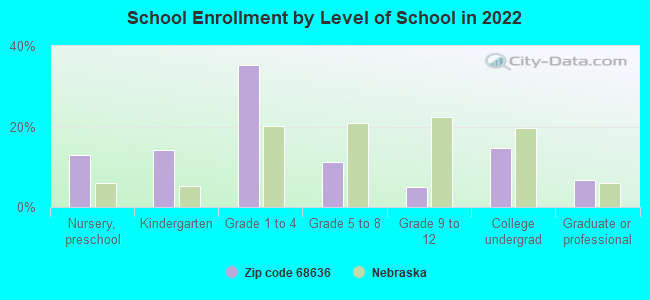 School Enrollment by Level of School in 2022