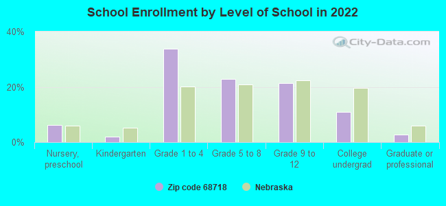 School Enrollment by Level of School in 2022