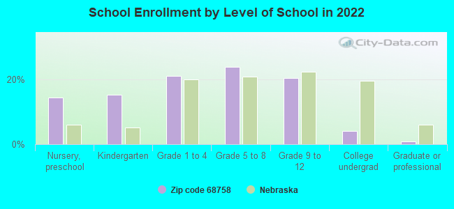 School Enrollment by Level of School in 2022