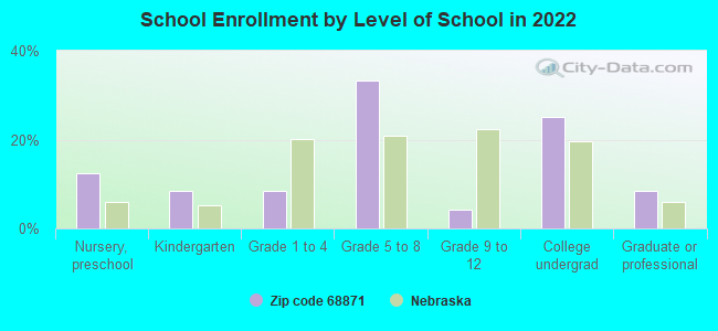 School Enrollment by Level of School in 2022