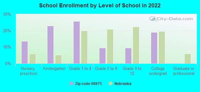 School Enrollment by Level of School in 2022