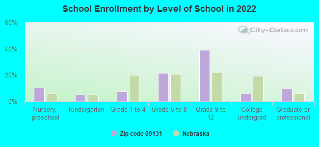 School Enrollment by Level of School in 2022