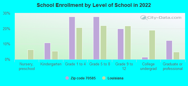 School Enrollment by Level of School in 2022