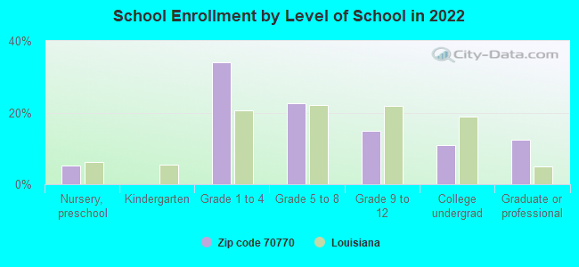 School Enrollment by Level of School in 2022