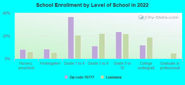 School Enrollment by Level of School in 2022