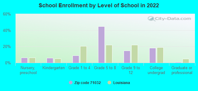 School Enrollment by Level of School in 2022