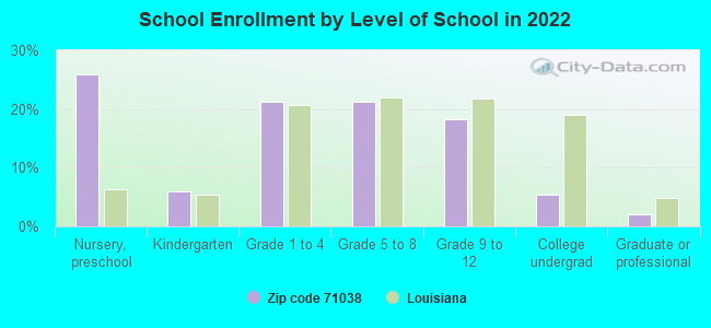 School Enrollment by Level of School in 2022