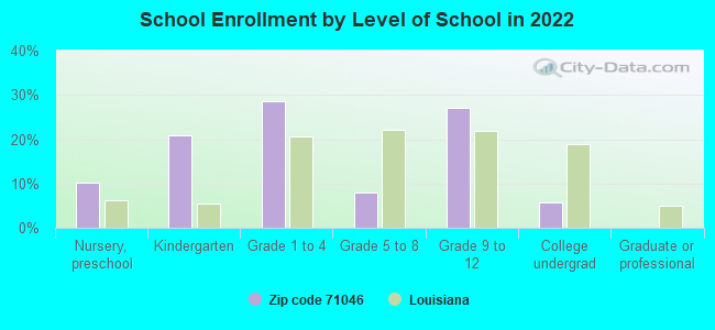 School Enrollment by Level of School in 2022