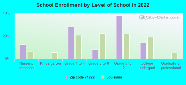 School Enrollment by Level of School in 2022