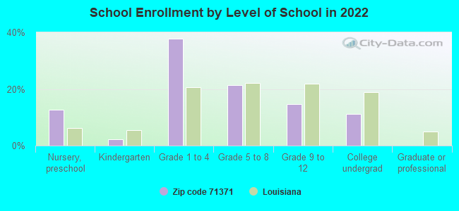 School Enrollment by Level of School in 2022