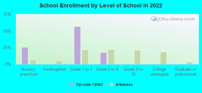 School Enrollment by Level of School in 2022