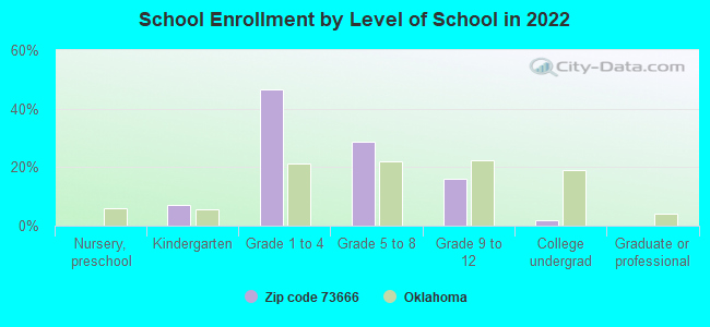 School Enrollment by Level of School in 2022