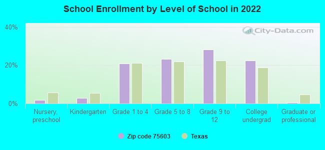 School Enrollment by Level of School in 2022