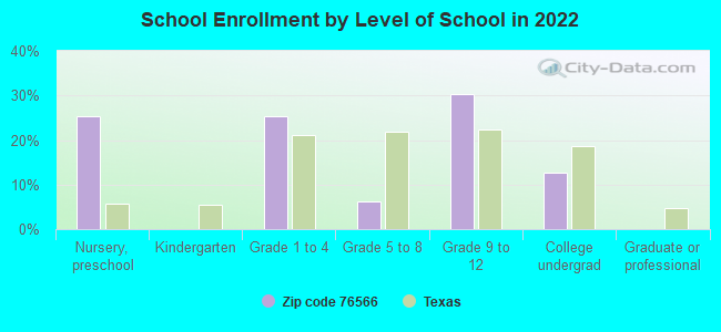 School Enrollment by Level of School in 2022